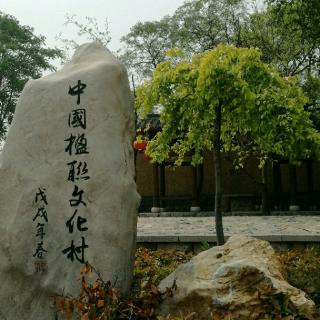 《听雨，想你》文/沙浪；朗诵：观云听涛