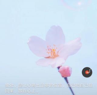 收留鼠小弟（一）