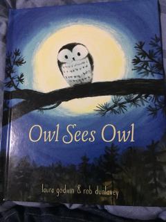 【幸运先生的故事屋】137.owl Sees owl