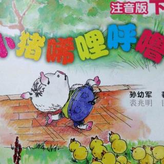 第9集《鸡🐔宅捉鬼，大侠惹麻烦》