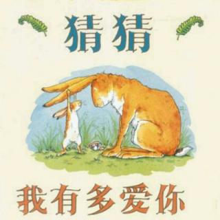 《猜猜我有多爱你》