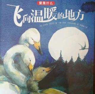 园长妈妈的睡前故事32《飞向温暖的地方》第四幼儿园