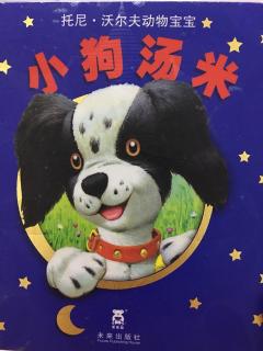 小狗🐶汤米