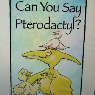 110-Can you say Pterodactel