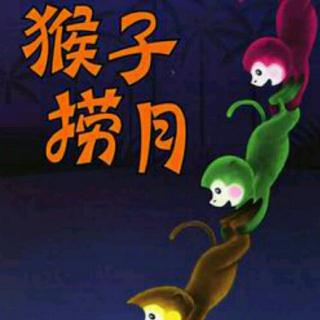 王博——《猴子捞月》