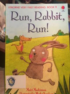 Run，Rabbit Run