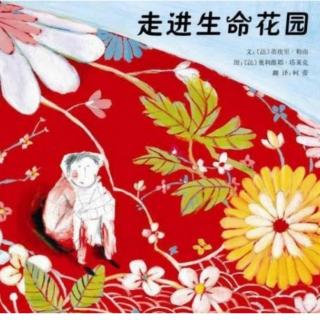 小明星囗才表演Lily老师声音《走进生命花园》