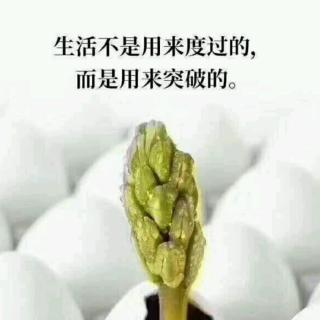 没有你的同意，任何人都侮辱不了你