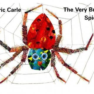 The very busy spider