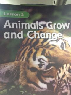 G2 Science Chapter2 Lesson2 - Animals Grow and Change