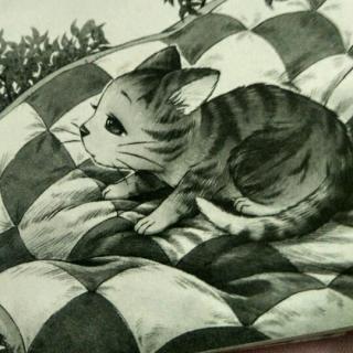 笑猫日记-又见小可怜