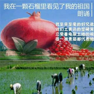 我在一颗石榴里看见了我的祖国……