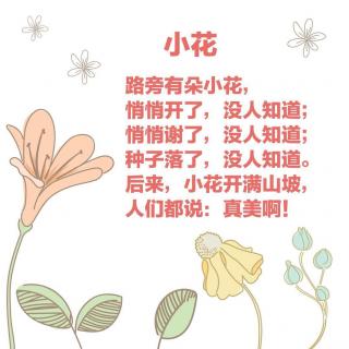 课程内容丨诗歌《小花》