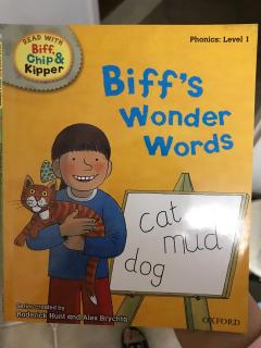 Biff's Wonder Words