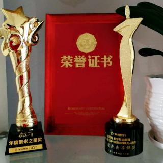 一个过着掌心向上宝妈，如何做到两年收获两个奖杯🏆