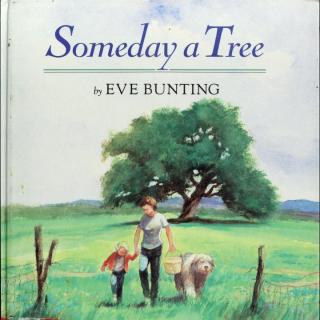 【Julia美语】英语版-艾莉丝的树 Someday a tree