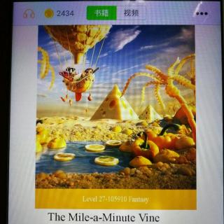 The Mile-a-Minute Vine