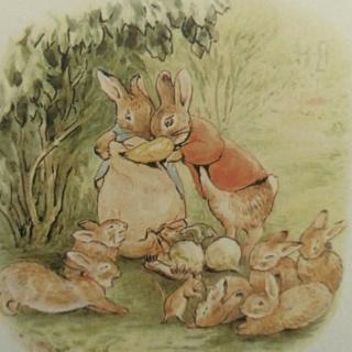 小啪嗒兔们的故事