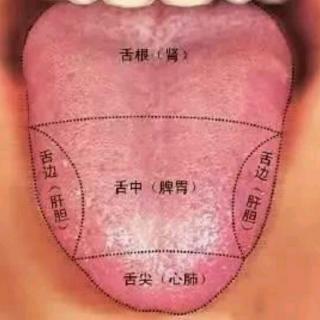 小儿舌诊辨证图谱讲解图片