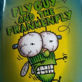 fly guy and the frankenfly