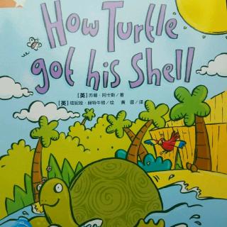 How Turtle got his Shell ( 2 )