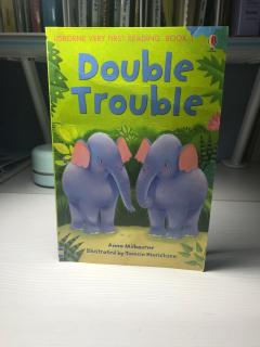 Book talk 8：Double Trouble 2018.5.13