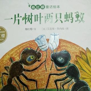 一片树叶两只蚂蚁