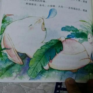 喝醉的玉兔