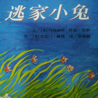 幼专幼儿园卫老师《逃家小兔》