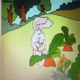 《好奇的小兔子》——猫咪老师🐱