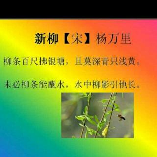 《新柳》[宋]杨万里十译文