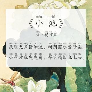 【每天背古诗】宋·杨万里《小池》