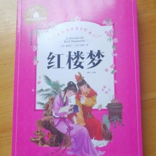 四大名著之一《红楼梦～芦雪广内联诗情》