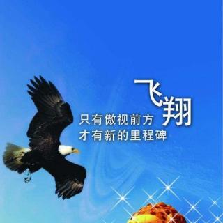 董明珠用自己的经验教你如何创业成功_0