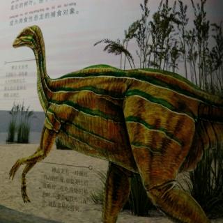 恐龙星球三叠纪【槽齿龙】12