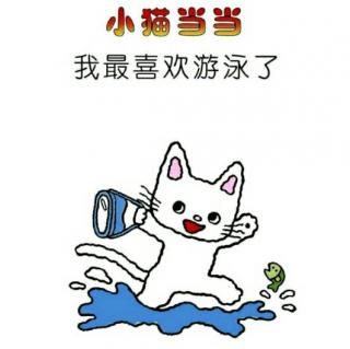 小猫当当最喜欢游泳了