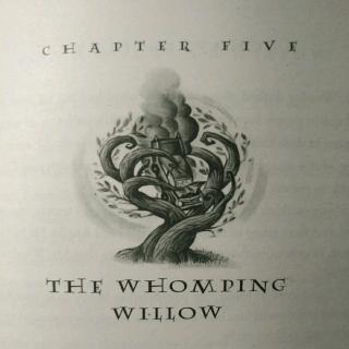 The  Whomping  Willow（2）