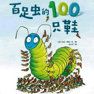 赵丹宁——《百足虫的一百只鞋》