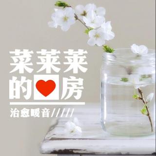 仪式感需不需要--菜菜讲故事