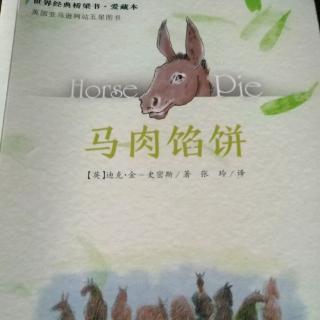 世界经典桥梁书爱藏本《马肉馅饼》第六章