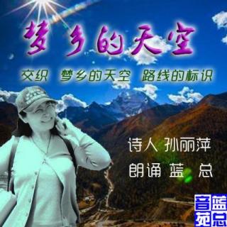 孙丽萍《梦乡的天空 等三首》蓝总读诗