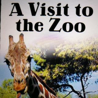 A visit to the zoo