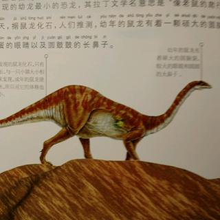 恐龙星球三叠纪【鼠龙】