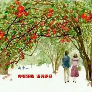 《你若懂我，该有多好》作者：疯雪