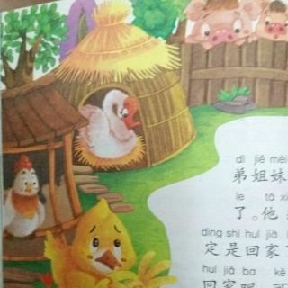 儿童故事《小鸭子找家》
