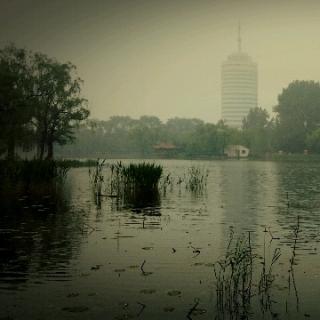 《留点窗，听雨去》李景慧