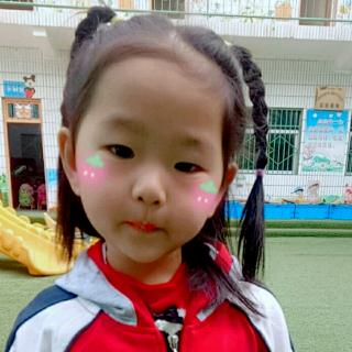 璟慧幼稚园小小气象播报员雷子轩