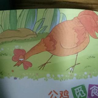 【59】东方红园长妈妈睡前故事《公鸡觅食》