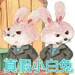 幼儿绘本故事《真假小白兔》