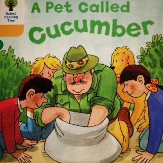 A Pet Called Cucumber